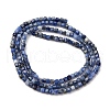Natural Sodalite Beads Strands G-B142-C02-2x2mm-3