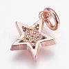 Brass Micro Pave Cubic Zirconia Charms ZIRC-G087-35RG-2