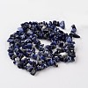Chip Natural Blue Spot Stone Bead Strands X-G-M344-18-2