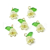Acrylic Pendants OACR-D012-01A-2