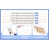 Copper Wire CWIR-TAC0003-01B-16