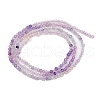 Natural Fluorite Beads Strands G-F789-01-2mm-4