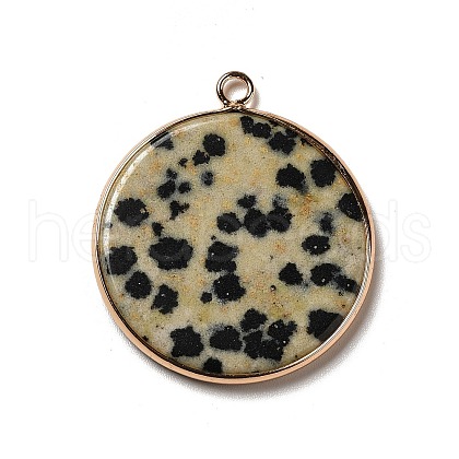 Natural Dalmatian Jasper Pendants G-A213-01G-06-1
