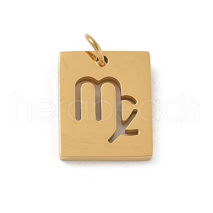 304 Stainless Steel Charms STAS-R001-03G-06-1