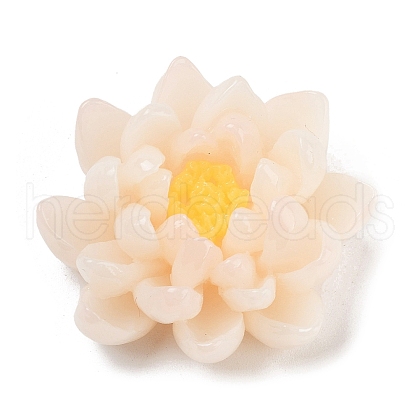 Two Tone Opaque Resin Decoden Cabochons RESI-K042-01B-1