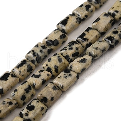 Natural Dalmatian Jasper Beads Strands G-G085-A13-01-1