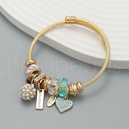 Adjustable Alloy & Stainless Steel Charm Bangles WG0E472-04-1