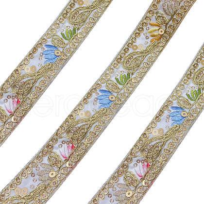 Polyester Embroidery Ribbon PW-WG49779-05-1-1