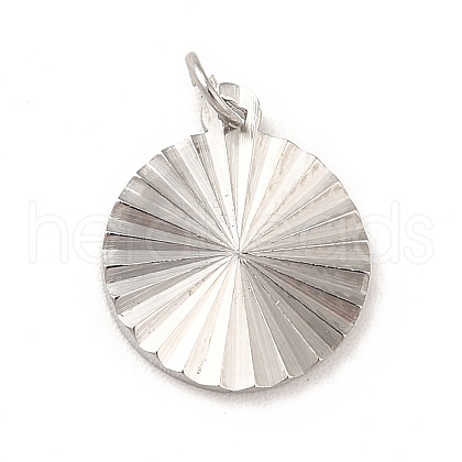 Non-Tarnish 304 Stainless Steel Charms STAS-G295-48P-1