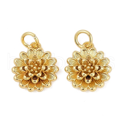 Brass Charms KK-S527-12G-1