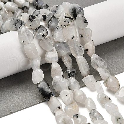 Natural Rainbow Moonstone Beads Strands G-P497-01E-56-1