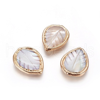 Shell Beads BSHE-G020-05G-A-1