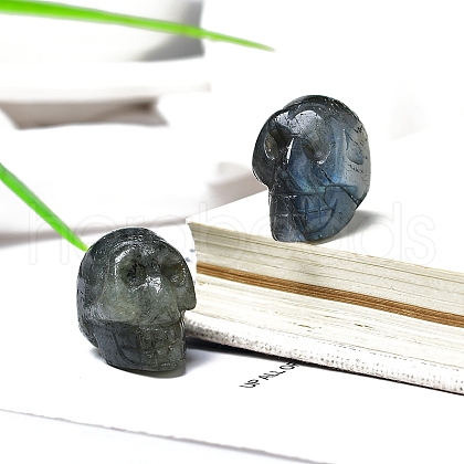 Natural Labradorite Skull Display Decorations PW-WG24213-03-1