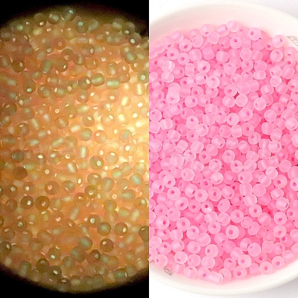 Luminous Translucent Glass Seed Beads PW-WGC2259-03-1