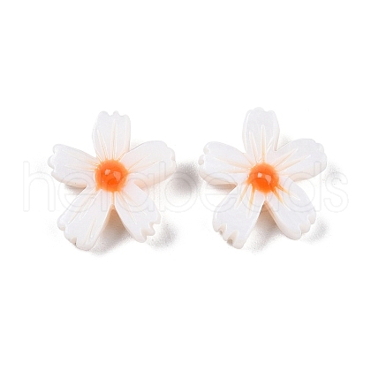 Natural Freshwater Shell Beads Strands SHEL-F004-04-01-1
