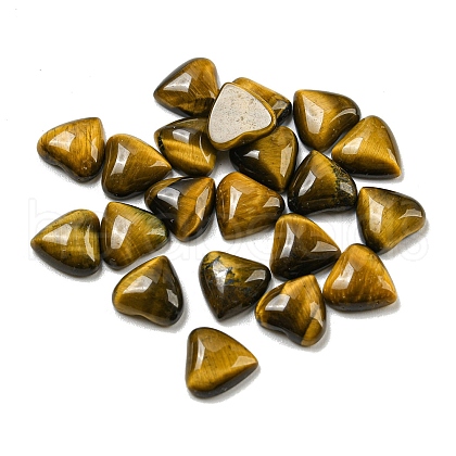 Natural Tiger Eye Cabochons G-H309-01-03-1