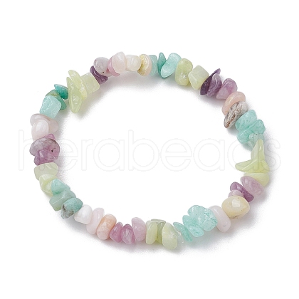 Natural Gemstone Chip Stretch Bracelets for Women BJEW-JB11019-01-1