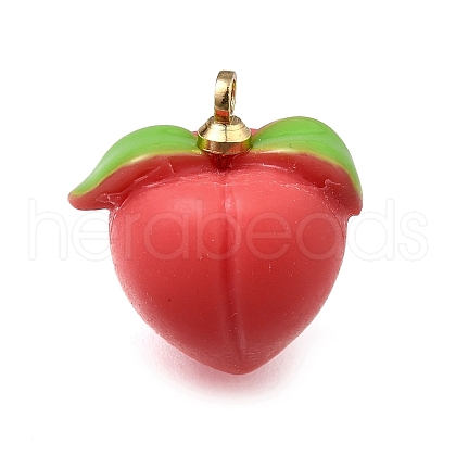 Brass Acrylic Pendants OACR-R006-01G-02-1