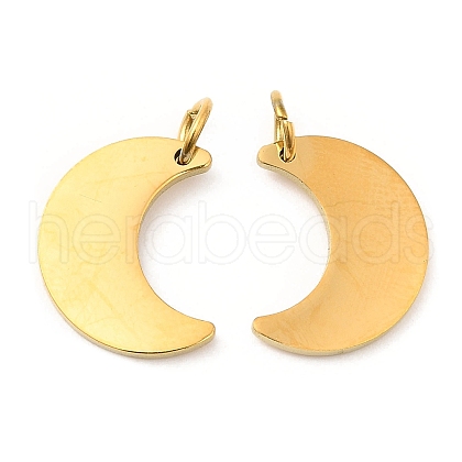 PVD Vacuum Plating 304 Stainless Steel Pendants STAS-Z042-19G-1