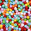 Baking Paint Glass Seed Beads SEED-N007-02C-3