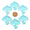 Transparent Acrylic Pendants TACR-T024-01B-946-3