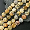Flat Round Natural Crazy Lace Agate Beads Strands G-S110-05-1
