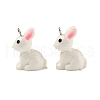 Resin Pendants X-RESI-S356-53-1