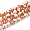 Natural Fire Crackle Agate Beads Strands G-S346-8mm-22-1