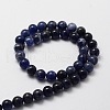 Natural Sodalite Round Beads Strands G-E329-10mm-39-2