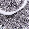 MIYUKI Delica Beads X-SEED-J020-DB0429-1