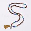 Natural Gemstone Beads Necklaces NJEW-F147-B-2