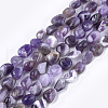 Natural Amethyst Beads Strands G-T105-33-1