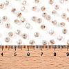 Glass Seed Beads SEED-N007-01J-4