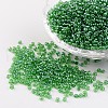 Round Glass Seed Beads X-SEED-A006-2mm-107-1