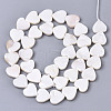 Natural Freshwater Shell Beads Strands X-SHEL-N026-51A-01-2