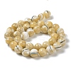 Natural Trochus Shell Beads Strands BSHE-P033-03C-4