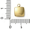 304 Stainless Steel Acrylic Pendants STAS-M091-02D-G-3