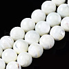Natural Trochid Shell/Trochus Shell Beads Strands SSHEL-S266-023A-04-1
