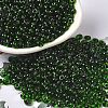 Transparent Colours Glass Seed Beads X1-SEED-P006-02A-01-1