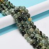Natural Prehnite Beads Strands G-P322-48-10mm-01-5