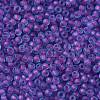 TOHO Round Seed Beads SEED-JPTR11-0252FM-2