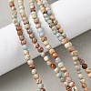 Dyed Natural Regalite/Imperial Jasper/Sea Sediment Jasper Beads Strands G-B124-C05-04-5