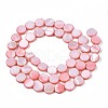 Freshwater Shell Beads Strands SHEL-T009-B16-02-2