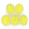 Opaque Resin Pendants X-RESI-S356-077-1