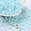 Glass Seed Beads X1-SEED-L011-03A-05-1