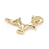 Brass Charms ZIRC-I356-04G-04-2