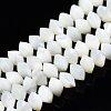 Natural Trochid Shell/Trochus Shell Bead Strands SSHEL-N034-134-1