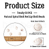 Natural Spiral Shell Red Lip Shell Beads BSHE-TA0002-02-12