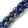 Natural Lapis Lazuli Beads Strands G-I369-B15-01-1