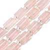 Natural Rose Quartz Beads Strands G-Z087-C02-2